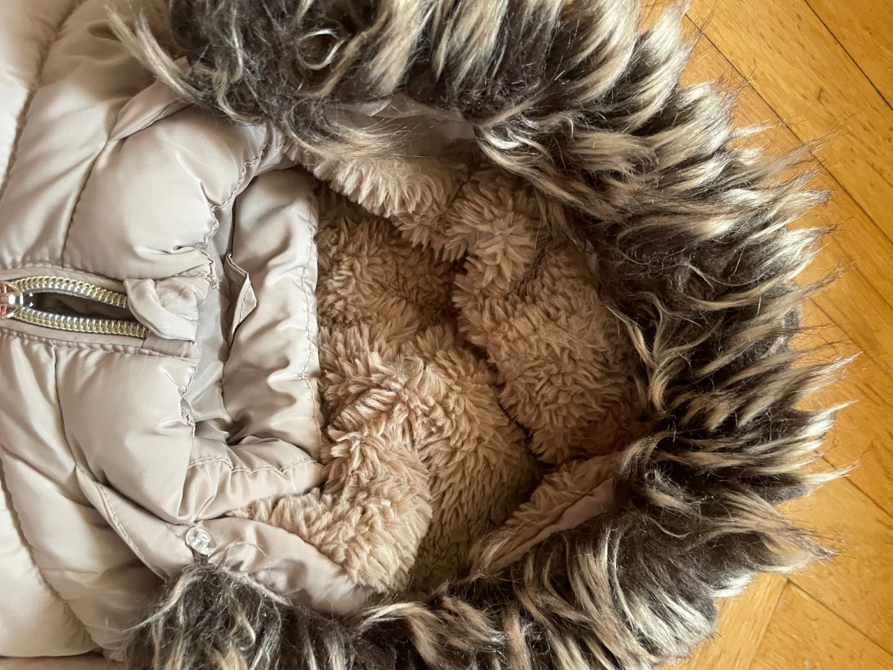 Coat 3 years – photo 5